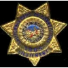 CALIFORNIA DEPARTMENT OF CORRECTIONS LT BADGE PIN